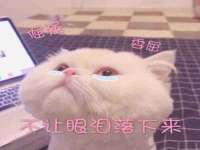 镇江恒桉建材商贸有限公司