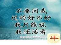 镇江恒桉建材商贸有限公司