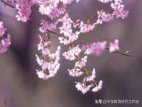 镇江恒桉建材商贸有限公司