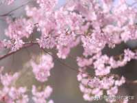 镇江恒桉建材商贸有限公司