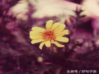 镇江恒桉建材商贸有限公司