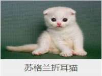 镇江恒桉建材商贸有限公司