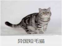 镇江恒桉建材商贸有限公司
