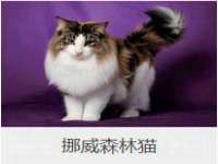 镇江恒桉建材商贸有限公司