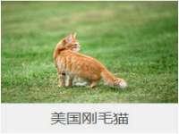 镇江恒桉建材商贸有限公司