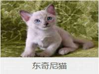 镇江恒桉建材商贸有限公司