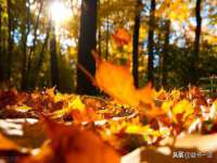 镇江恒桉建材商贸有限公司