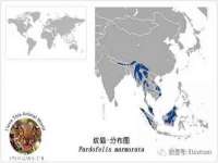 镇江恒桉建材商贸有限公司