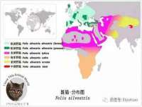 镇江恒桉建材商贸有限公司