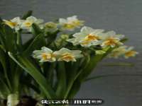 镇江恒桉建材商贸有限公司