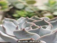 镇江恒桉建材商贸有限公司