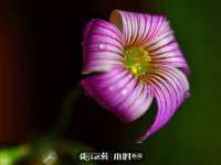 镇江恒桉建材商贸有限公司