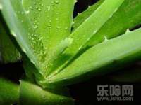镇江恒桉建材商贸有限公司