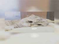 镇江恒桉建材商贸有限公司