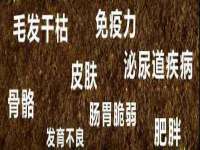镇江恒桉建材商贸有限公司