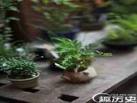 镇江恒桉建材商贸有限公司