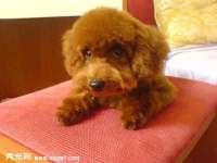 镇江恒桉建材商贸有限公司