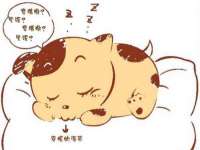 镇江恒桉建材商贸有限公司
