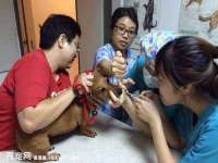 镇江恒桉建材商贸有限公司