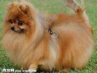 镇江恒桉建材商贸有限公司