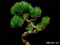 镇江恒桉建材商贸有限公司