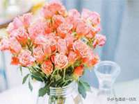 镇江恒桉建材商贸有限公司