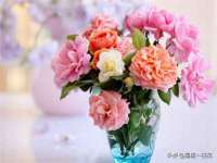 镇江恒桉建材商贸有限公司