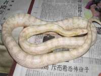 镇江恒桉建材商贸有限公司